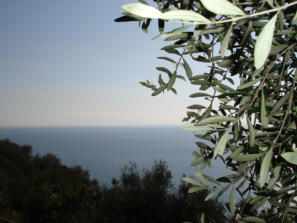 Villa Imperia Империя Экстерьер фото